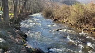 Maggie Valley, NC