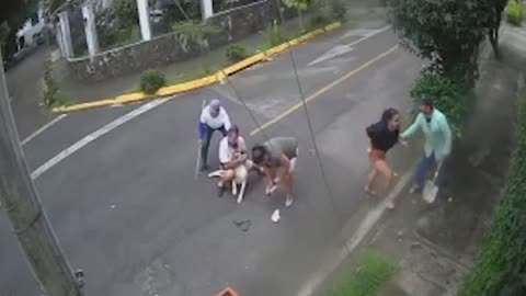 Pitbull Attack - Girl Saved