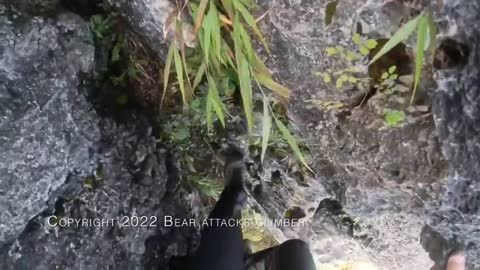 Man Fights Off Bear While Rock Climbing