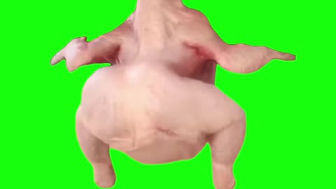 Chicken Dancing to Waka Waka | Green Screen