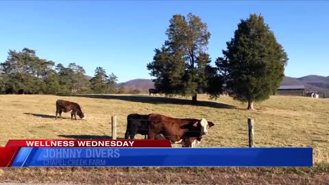 UN to Call on Americans to Curb Meat Consumption