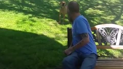 Dog Doesn't Recognize Owner After Weight Loss...Until He Sniffs Him