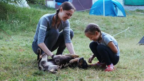 Mother and daughter is gently stroking mongrel dog at campfire. People and animal friendship concept