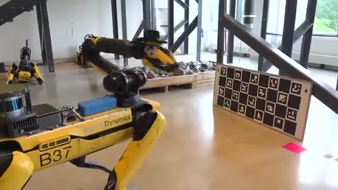 Boston dynamics is skynet