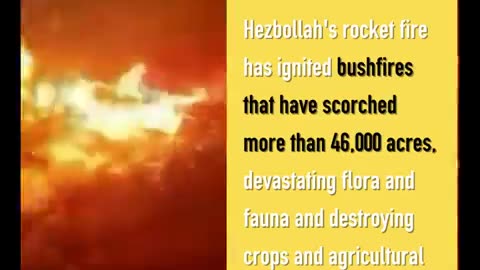 Hezbollah's War on Israel since October 8 - The stats you need to know