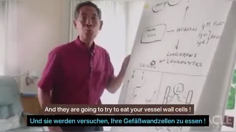 Professor Sucharit Bhakdi, describes what happens to your blood vessel walls after the Leaky V@ccine