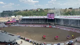 Calgary Stampede Rodeo