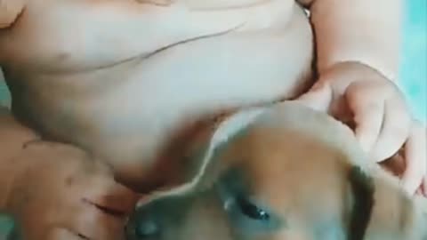 Adorable Baby Touches Sleepy Puppy as It Lays in His Lap