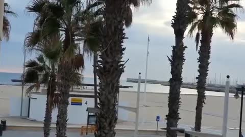 Europe La Marina de Valencia Spain relaxing sound water and birds