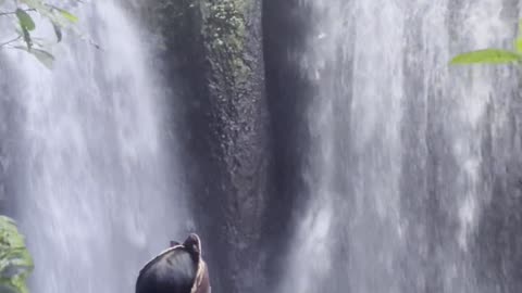 Hidden Paradise Temple with Stunning Natural Views in Bali😍