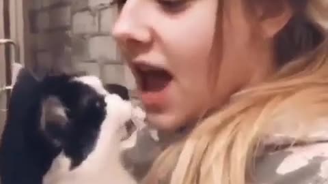 Cute girl vs cat reaction 😱