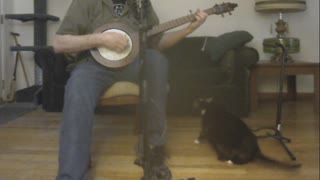 Cow Jumped Over The Moon / original banjo instrumental