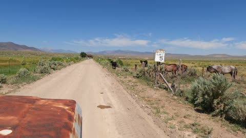 Driving By Nine-Mile Ranch, NV