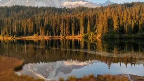 ReflectionLakeMount Rainier NationalPark