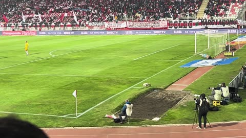 Stray Dog Disrupts Pro Soccer Match to Help Water the Grass