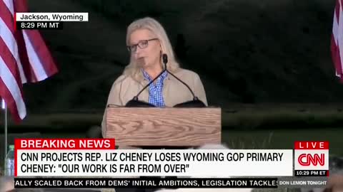 RINO Cheney References President Lincoln During CRAZED Concession Speech