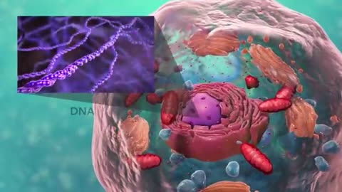 Biology: Cell Structure I Nucleus Medical Media