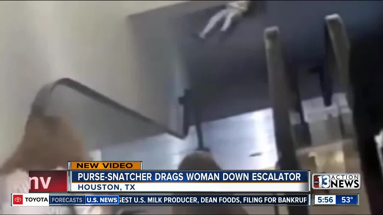 Purse snatcher caught on camera