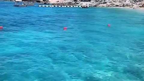 Blue Vlora