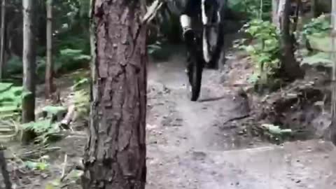 jungle bike