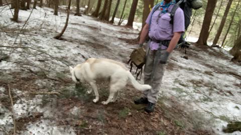 Five Day Thru Hike on the Baker Trail - Video 12 Poop