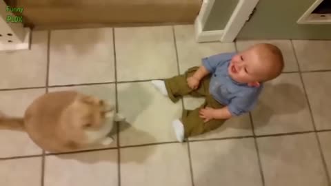 Beautiful baby fun with cat