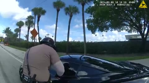 Shocking bodycam of Tyreek Hill arrest released by Miami-Dade PD