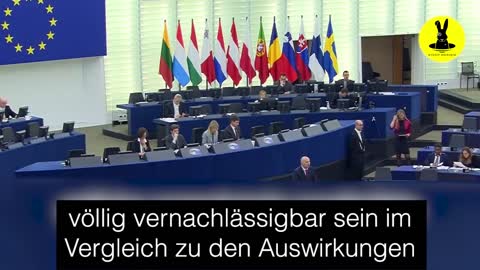 Abgeordneter im EU-Parlament