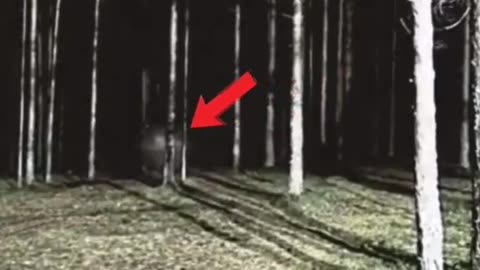 Ghost in woods