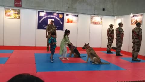 CISF demonstration of Dog Squad and Dog training academy!