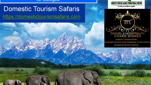 Unforgettable African Safari Tours in Tanzania with Domestic Tourism Safaris