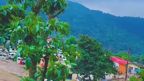 Rishikesh shorts videos