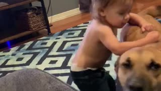 Kid fighting dog