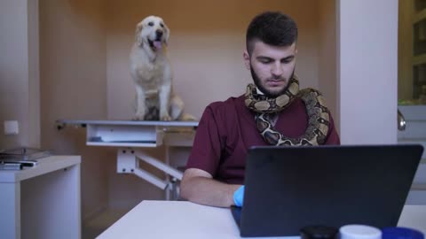 Young handsome veterinary specialist working on laptop pc at pet care