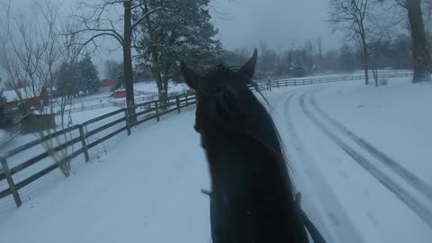 Wild ride in the snow