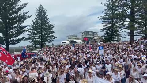 So Much Beautiful Energy @ Qld/NSW Border Rally 7/11/21 Sovereign Beings Standing In Their Power