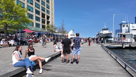 Toronto Canada - Downtown Harbourfront Victoria Day Weekend Sunny Weather Walk