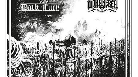 Moharebeh / Dark Fury - Split 7" (2023)