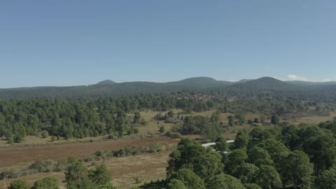 Warm natural environment from above on a sunny day