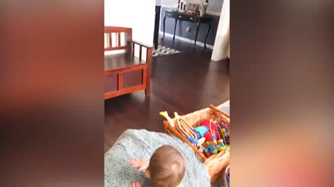 Funny cats and babies playing #3