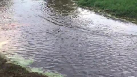 Niños dan una vuelta en una calesita casera