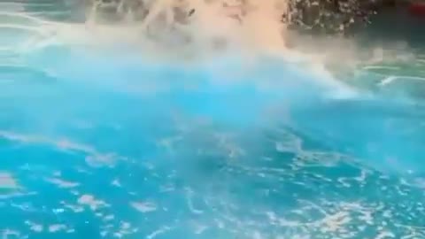 Parkour skills from swing into pool