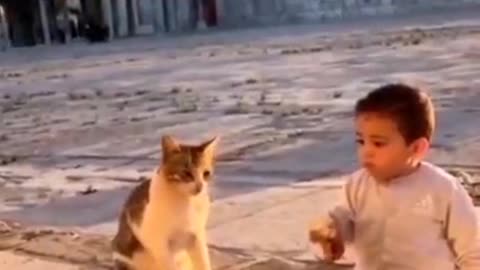 Cat and baby most beautyful video