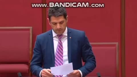 Alex Antic, Australische senator: part 2