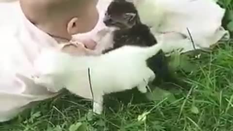 BABIES AND KITTENS BABIES IS THE CUTEST THING YOU WILL SEE TODAY