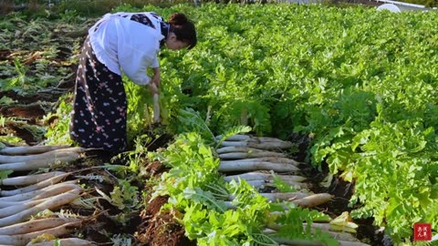 Sun-dried white Radish to make Taku-An in this winter