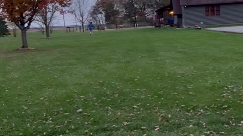 Woman Rescues Doe With Jug Stuck on Her Head