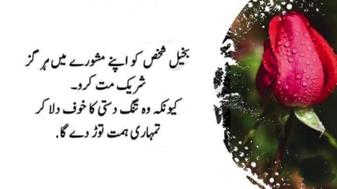 Best urdu Quotes #urduquotes