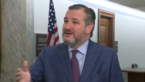 SEN. TED CRUZ: "The Democrats are so casually racist