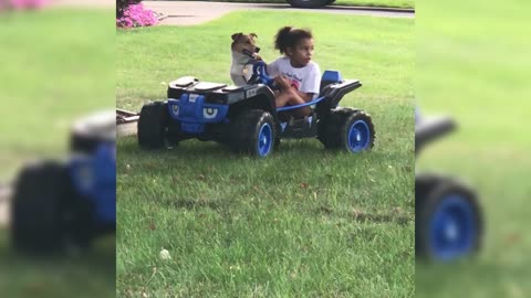 Cooper Goes Cruising In the Power Wheel